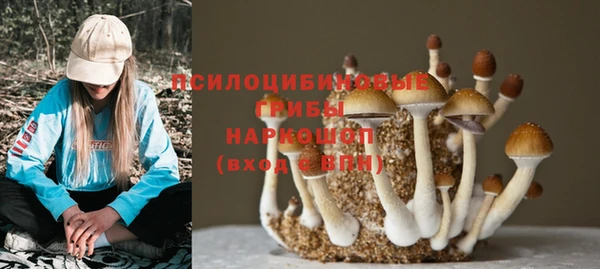 мет Арсеньев
