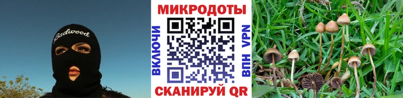 Псилоцибиновые грибы Psilocybine cubensis  ссылка на мегу зеркало  Пошехонье 